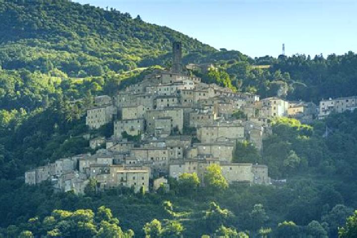 6 escort profiles in Castelnuovo di Val di Cecina, Italy. Browse companions, services, rates and book online. Incall and outcall available.