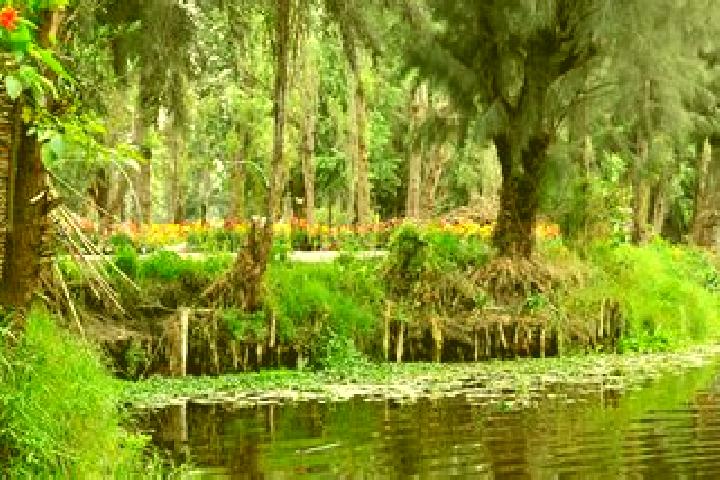 6 escort profiles in Chinampas, Mexico. Browse companions, services, rates and book online. Incall and outcall available.