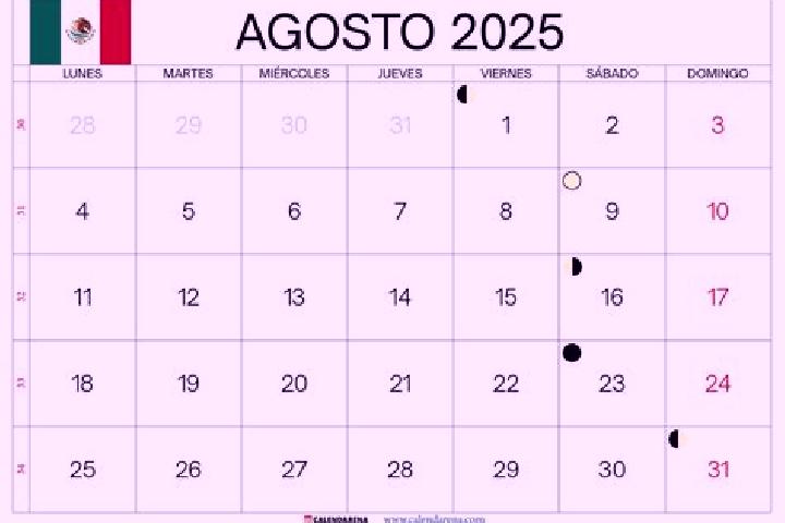6 escort profiles in Colonia 12 de Agosto, Mexico. Browse companions, services, rates and book online. Incall and outcall available.