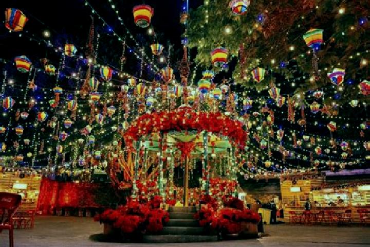 6 escort profiles in Colonia la Navidad, Mexico. Browse companions, services, rates and book online. Incall and outcall available.