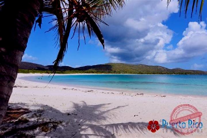 6 escort profiles in Culebra, Puerto Rico. Browse companions, services, rates and book online. Incall and outcall available.