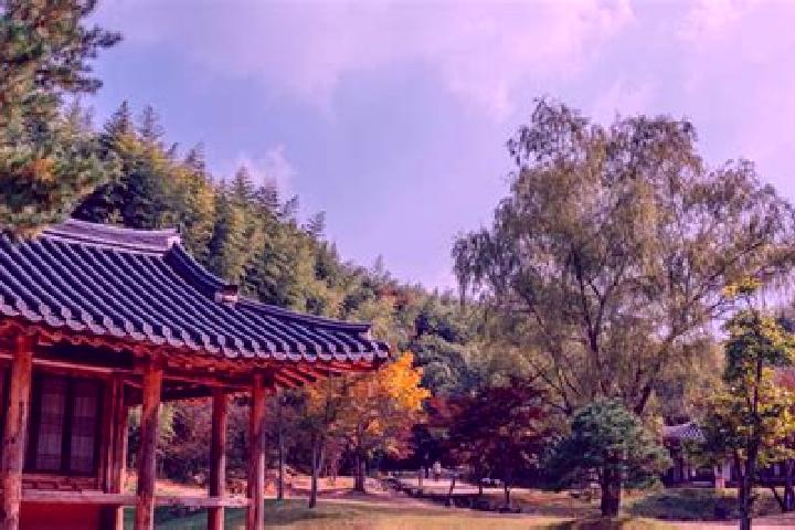 6 escort profiles in Damyang, South Korea. Browse companions, services, rates and book online. Incall and outcall available.