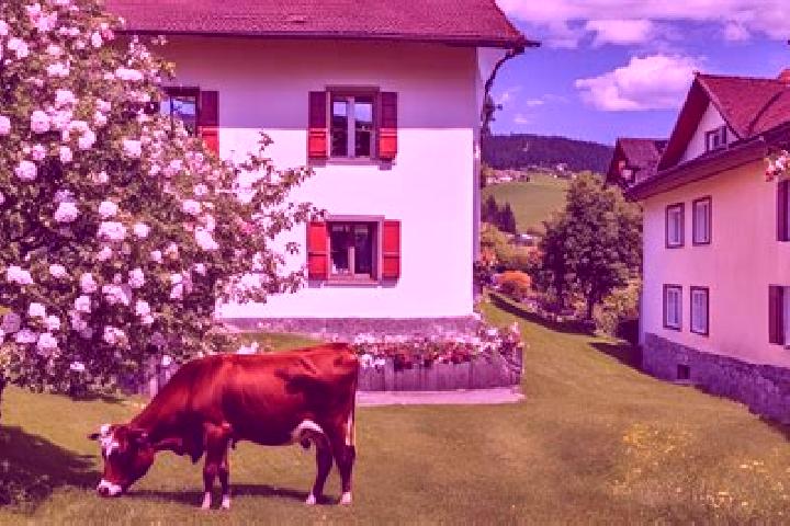 6 escort profiles in Heiligenschwendi, Switzerland. Browse companions, services, rates and book online. Incall and outcall available.