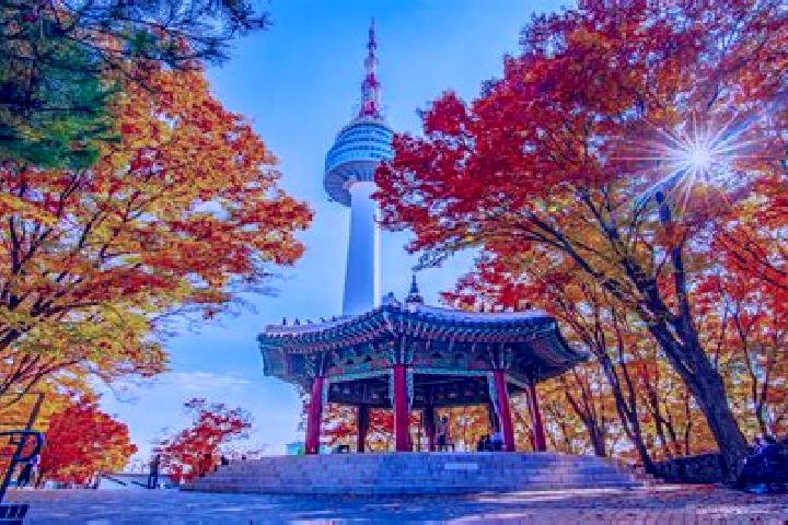 6 escort profiles in Hwanggan, South Korea. Browse companions, services, rates and book online. Incall and outcall available.