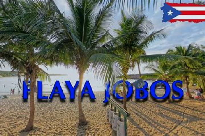 6 escort profiles in Jobos, Puerto Rico. Browse companions, services, rates and book online. Incall and outcall available.