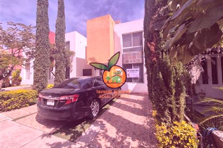 6 escort profiles in Lomas de Santa Anita, Mexico. Browse companions, services, rates and book online. Incall and outcall available.