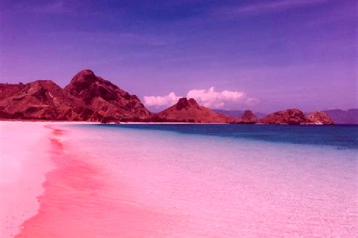 6 escort profiles in Maumere, Indonesia. Browse companions, services, rates and book online. Incall and outcall available.