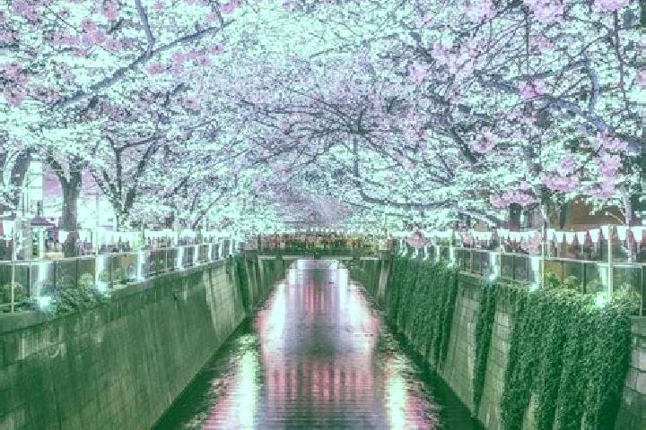 6 escort profiles in Meguro, Japan. Browse companions, services, rates and book online. Incall and outcall available.
