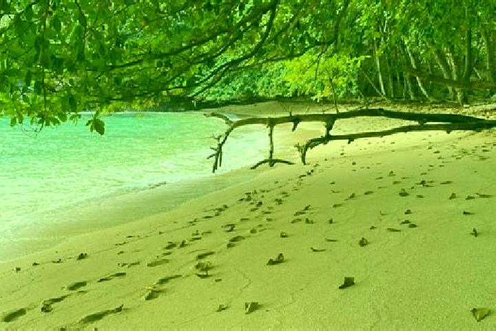 6 escort profiles in Monta Alegre, Sao Tome and Principe. Browse companions, services, rates and book online. Incall and outcall available.