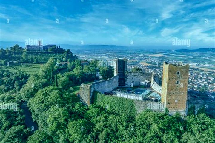 6 escort profiles in Montecchio Precalcino, Italy. Browse companions, services, rates and book online. Incall and outcall available.