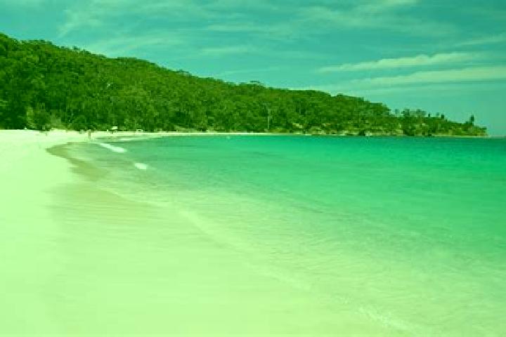 6 escort profiles in Murrays Beach, Australia. Browse companions, services, rates and book online. Incall and outcall available.