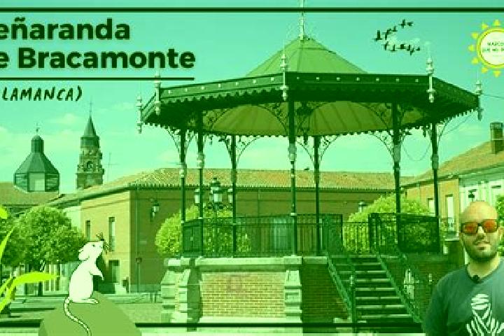 6 escort profiles in Penaranda de Bracamonte, Spain. Browse companions, services, rates and book online. Incall and outcall available.