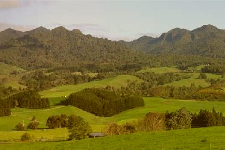 6 escort profiles in Pirongia, New Zealand. Browse companions, services, rates and book online. Incall and outcall available.