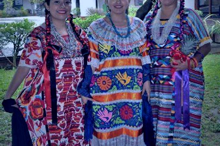 6 escort profiles in Playa de Soyaltepec, Mexico. Browse companions, services, rates and book online. Incall and outcall available.