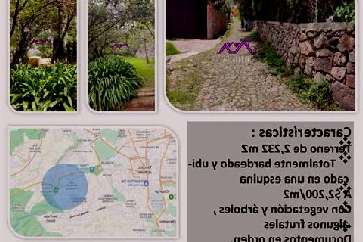 6 escort profiles in San Miguel Tlaixpan, Mexico. Browse companions, services, rates and book online. Incall and outcall available.