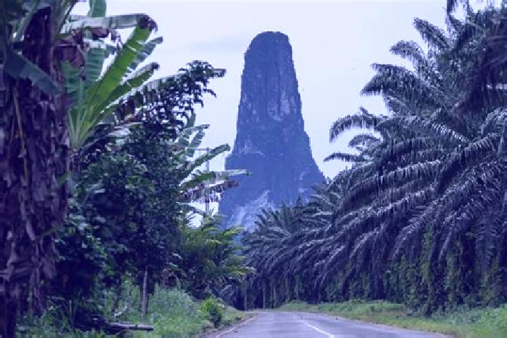 6 escort profiles in Sao Tome, Brazil. Browse companions, services, rates and book online. Incall and outcall available.