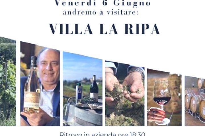 6 escort profiles in Tordinia-Villa Ripa, Italy. Browse companions, services, rates and book online. Incall and outcall available.