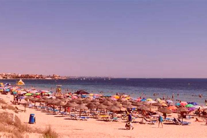 6 escort profiles in Torre de la Horadada, Spain. Browse companions, services, rates and book online. Incall and outcall available.