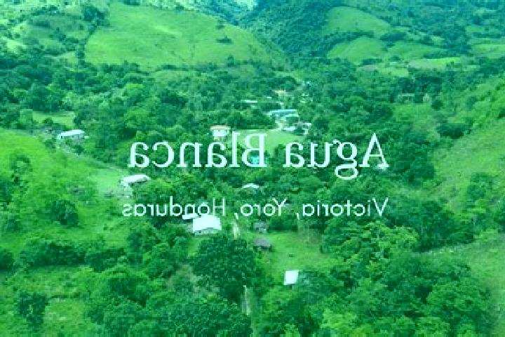 7 escort profiles in Agua Blanca Sur, Honduras. Browse companions, services, rates and book online. Incall and outcall available.