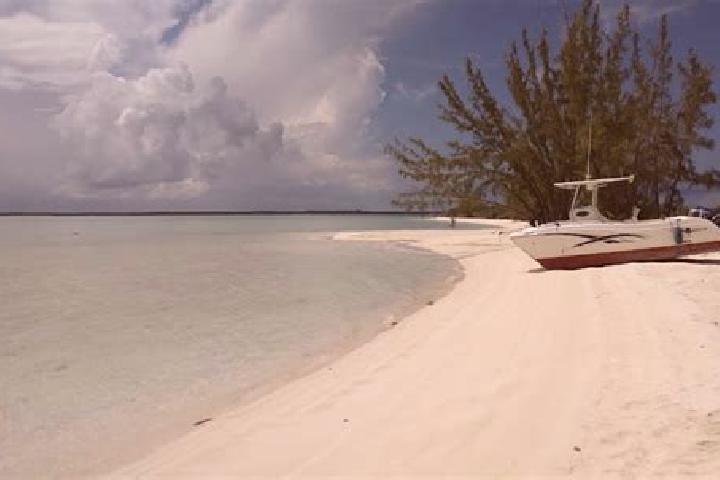 7 escort profiles in Andros Town, Bahamas. Browse companions, services, rates and book online. Incall and outcall available.