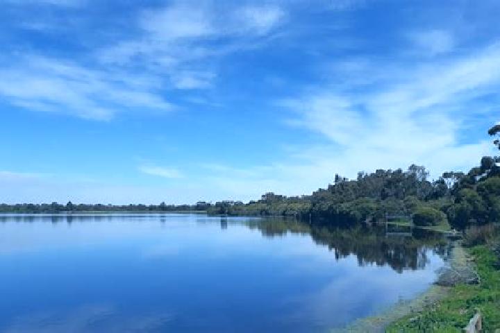 7 escort profiles in Bibra Lake, Australia. Browse companions, services, rates and book online. Incall and outcall available.