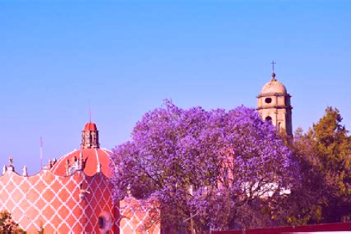 7 escort profiles in Colonia Ampliacion (San Miguel Tlahuac), Mexico. Browse companions, services, rates and book online. Incall and outcall available.