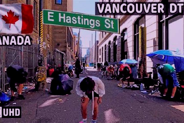 7 escort profiles in East Hastings, Canada. Browse companions, services, rates and book online. Incall and outcall available.