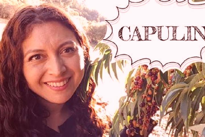 7 escort profiles in El Capulin Chocolate, Mexico. Browse companions, services, rates and book online. Incall and outcall available.