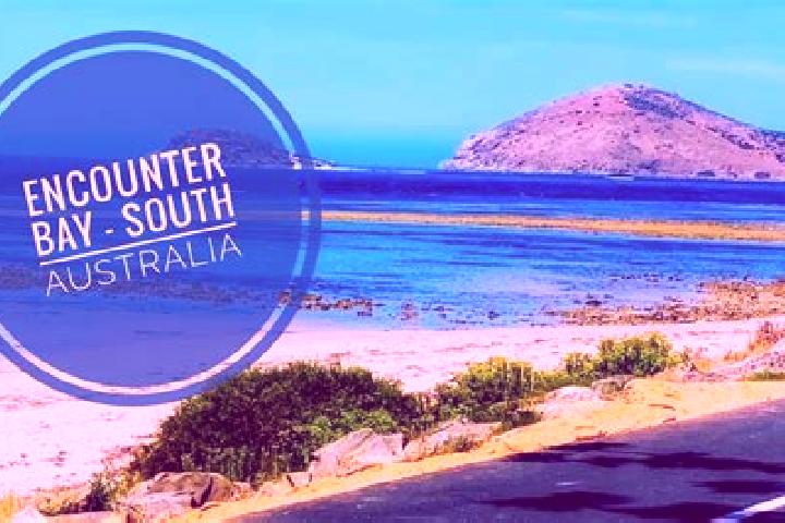 7 escort profiles in Encounter Bay, Australia. Browse companions, services, rates and book online. Incall and outcall available.