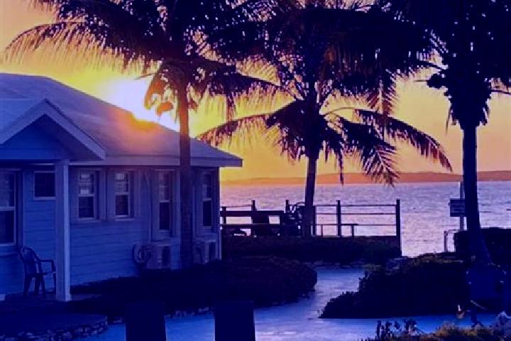 7 escort profiles in George Town, Bahamas. Browse companions, services, rates and book online. Incall and outcall available.