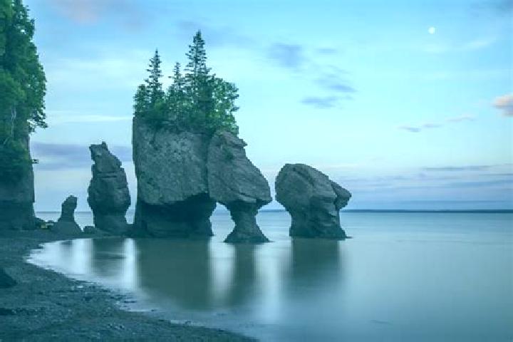 7 escort profiles in Hopewell Cape, Canada. Browse companions, services, rates and book online. Incall and outcall available.