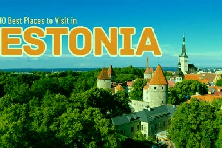 7 escort profiles in Kadrina, Estonia. Browse companions, services, rates and book online. Incall and outcall available.