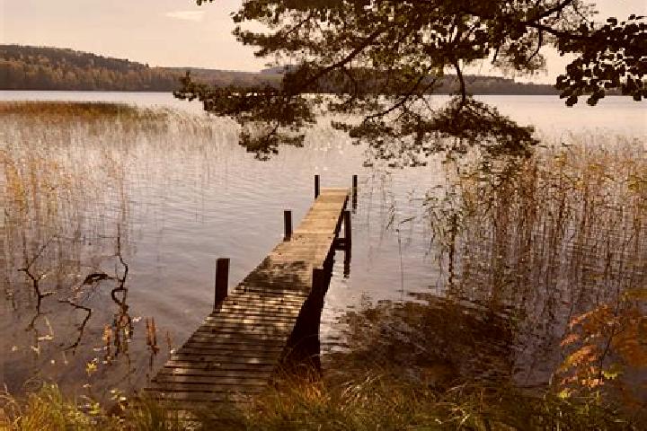 7 escort profiles in Kivijaervi, Finland. Browse companions, services, rates and book online. Incall and outcall available.