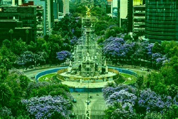 7 escort profiles in Las Jacarandas, Mexico. Browse companions, services, rates and book online. Incall and outcall available.
