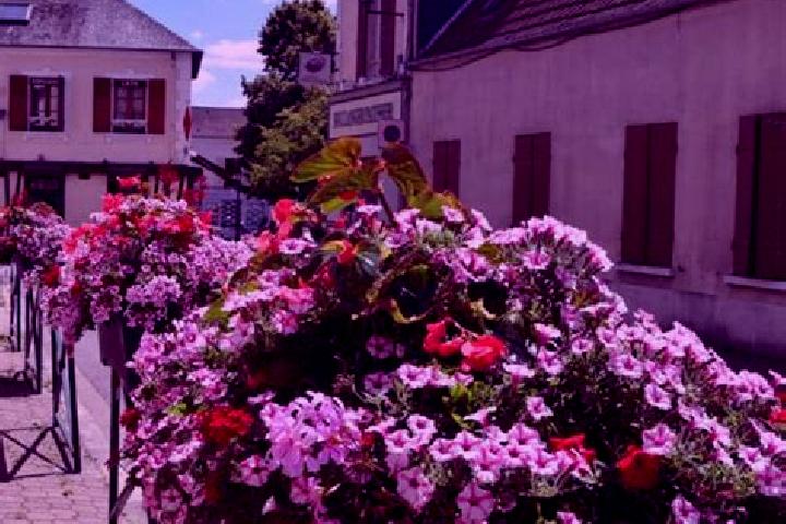 7 escort profiles in Les Essarts-le-Roi, France. Browse companions, services, rates and book online. Incall and outcall available.