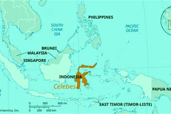7 escort profiles in Limboto, Indonesia. Browse companions, services, rates and book online. Incall and outcall available.