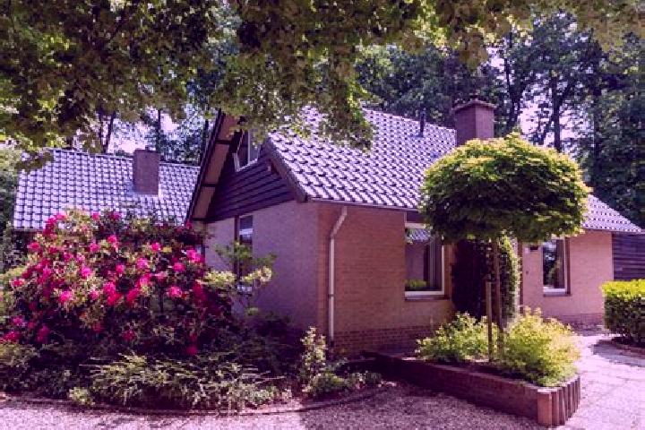7 escort profiles in Molenhoek, Netherlands. Browse companions, services, rates and book online. Incall and outcall available.