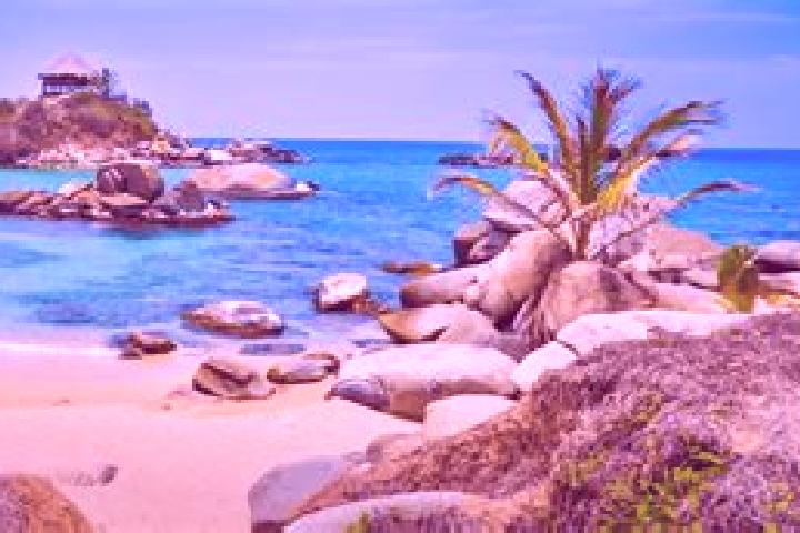 7 escort profiles in Necocli, Colombia. Browse companions, services, rates and book online. Incall and outcall available.