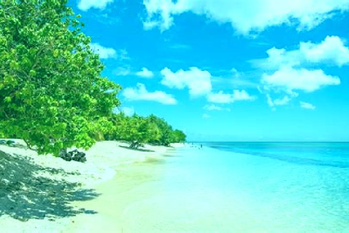7 escort profiles in Port-Louis, Guadeloupe. Browse companions, services, rates and book online. Incall and outcall available.