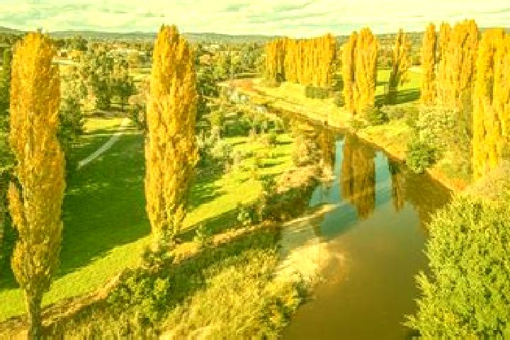 7 escort profiles in Queanbeyan, Australia. Browse companions, services, rates and book online. Incall and outcall available.