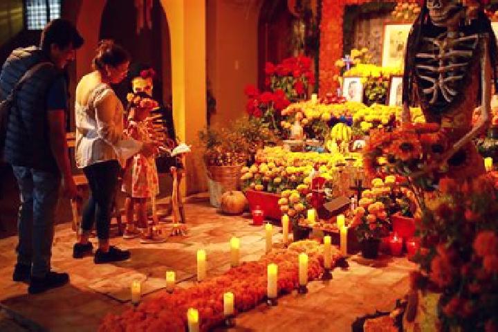 7 escort profiles in San Andres Huaxpaltepec, Mexico. Browse companions, services, rates and book online. Incall and outcall available.