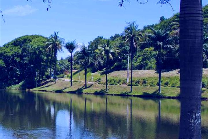 7 escort profiles in Sao Joao Evangelista, Brazil. Browse companions, services, rates and book online. Incall and outcall available.
