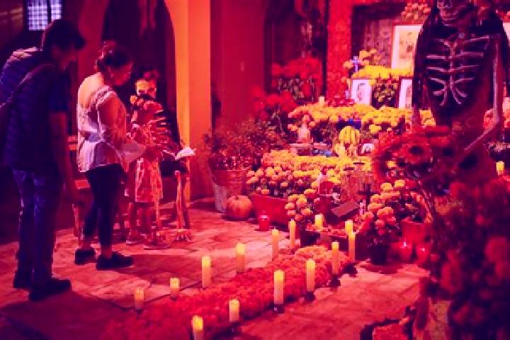 7 escort profiles in Tuxcacuesco, Mexico. Browse companions, services, rates and book online. Incall and outcall available.