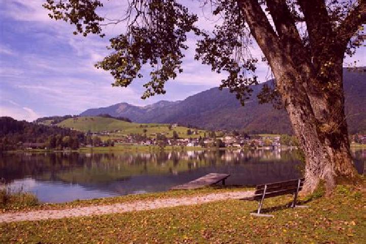 7 escort profiles in Vorderthiersee, Austria. Browse companions, services, rates and book online. Incall and outcall available.