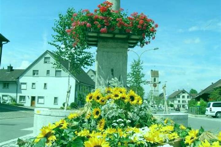 7 escort profiles in Wiesendangen / Wiesendangen (Dorf), Switzerland. Browse companions, services, rates and book online. Incall and outcall available.