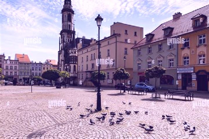 7 escort profiles in Zabkowice Slaskie, Poland. Browse companions, services, rates and book online. Incall and outcall available.