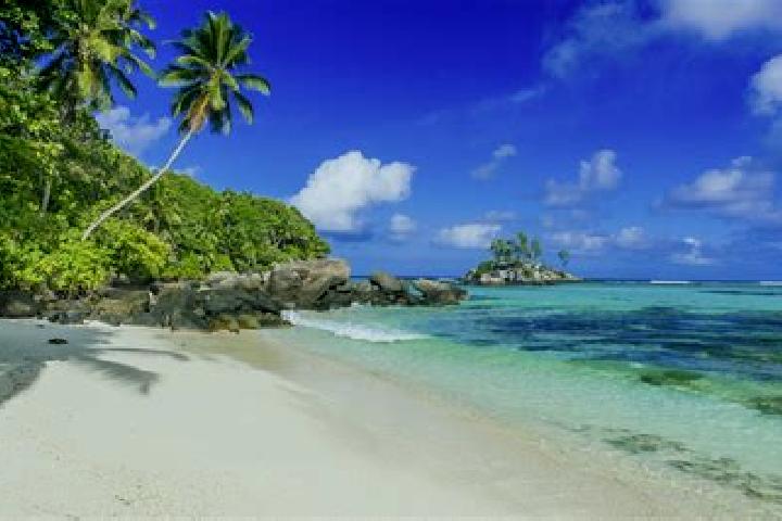 8 escort profiles in Anse aux Pins, Seychelles. Browse companions, services, rates and book online. Incall and outcall available.