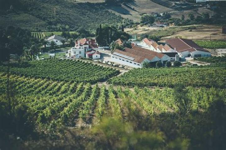 8 escort profiles in Arruda dos Vinhos, Portugal. Browse companions, services, rates and book online. Incall and outcall available.