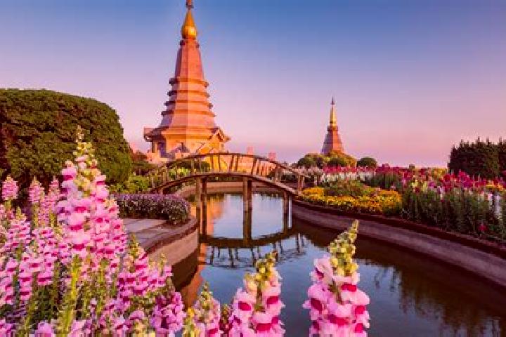 8 escort profiles in Bang Saphan Noi, Thailand. Browse companions, services, rates and book online. Incall and outcall available.
