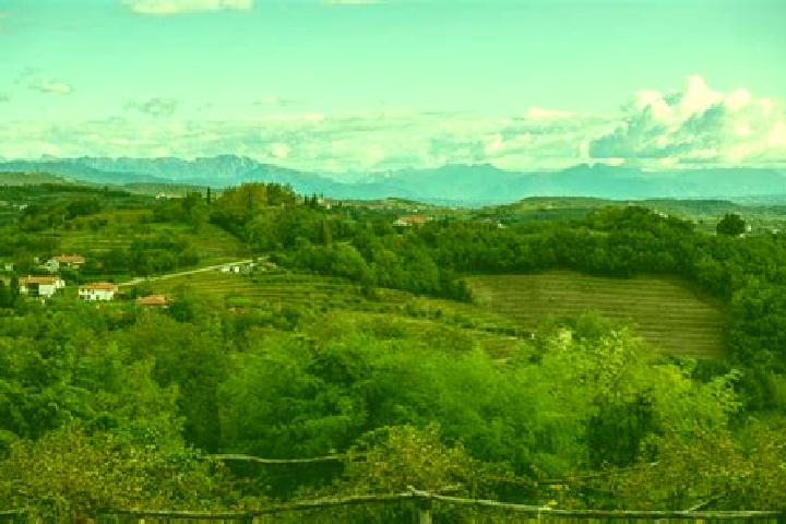 8 escort profiles in Capriva del Friuli, Italy. Browse companions, services, rates and book online. Incall and outcall available.